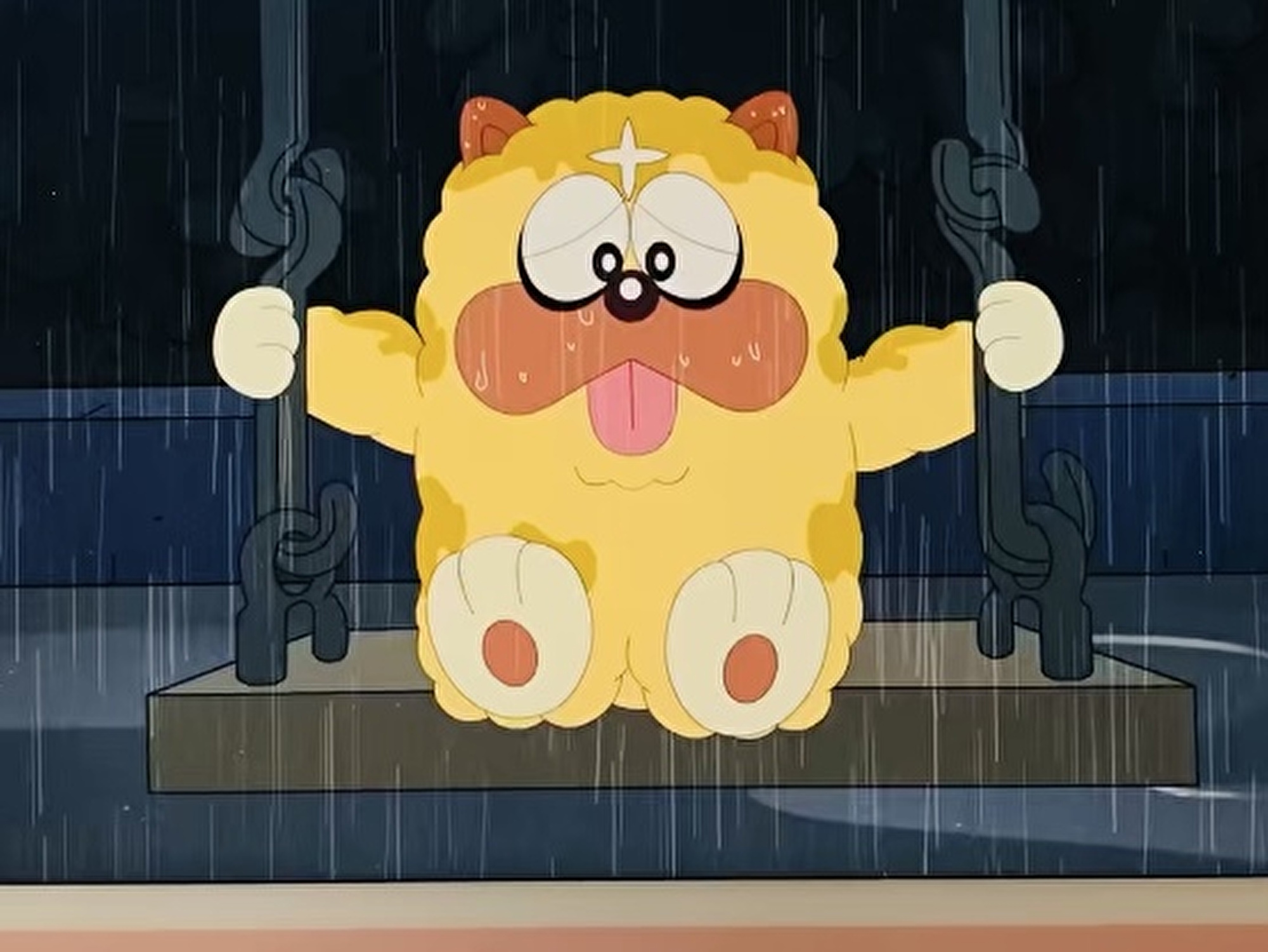 rainy fuwafuwa dog