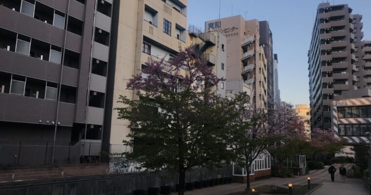 紫のあたまの木