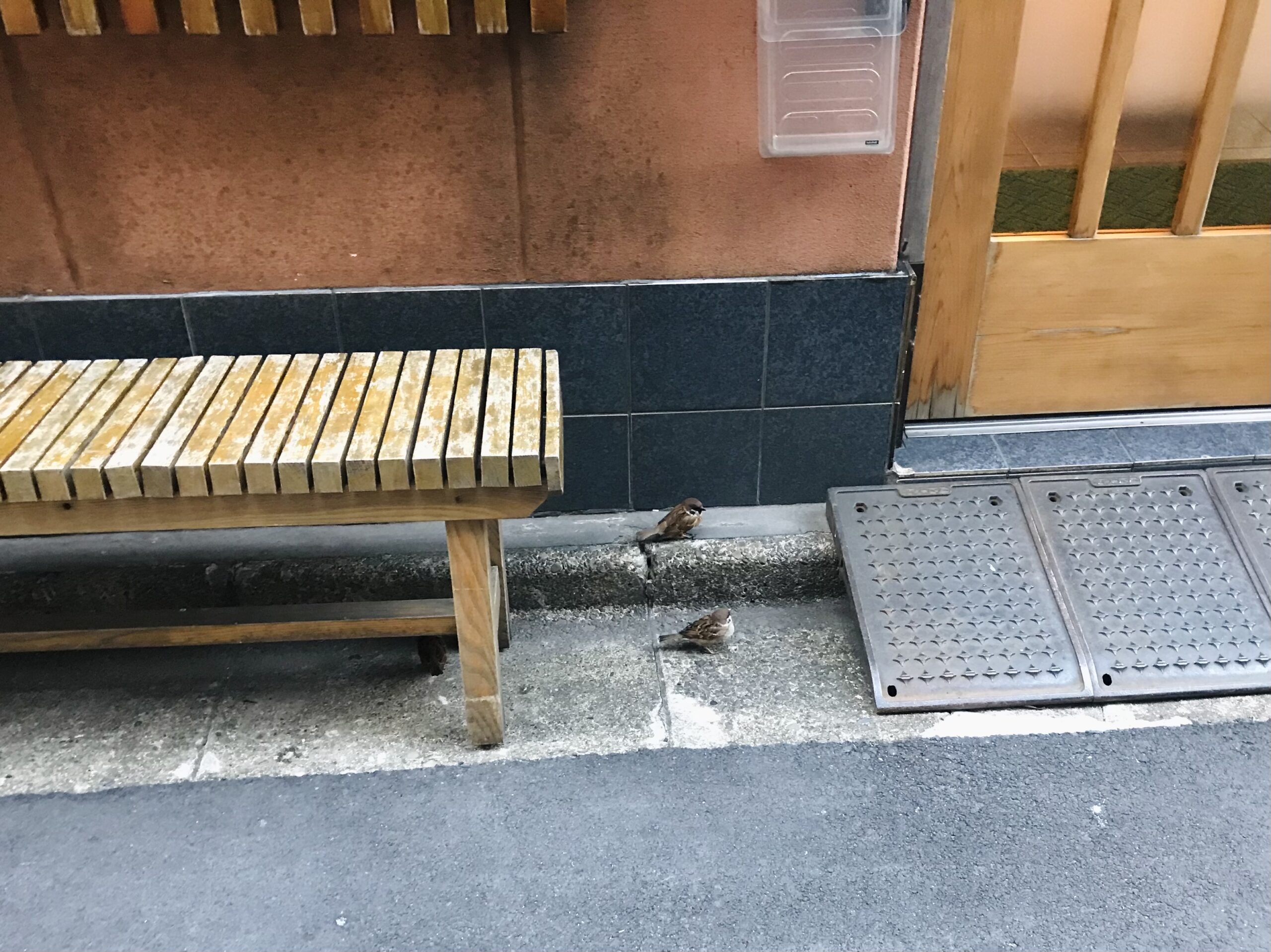 門前仲町の歩きすずめ