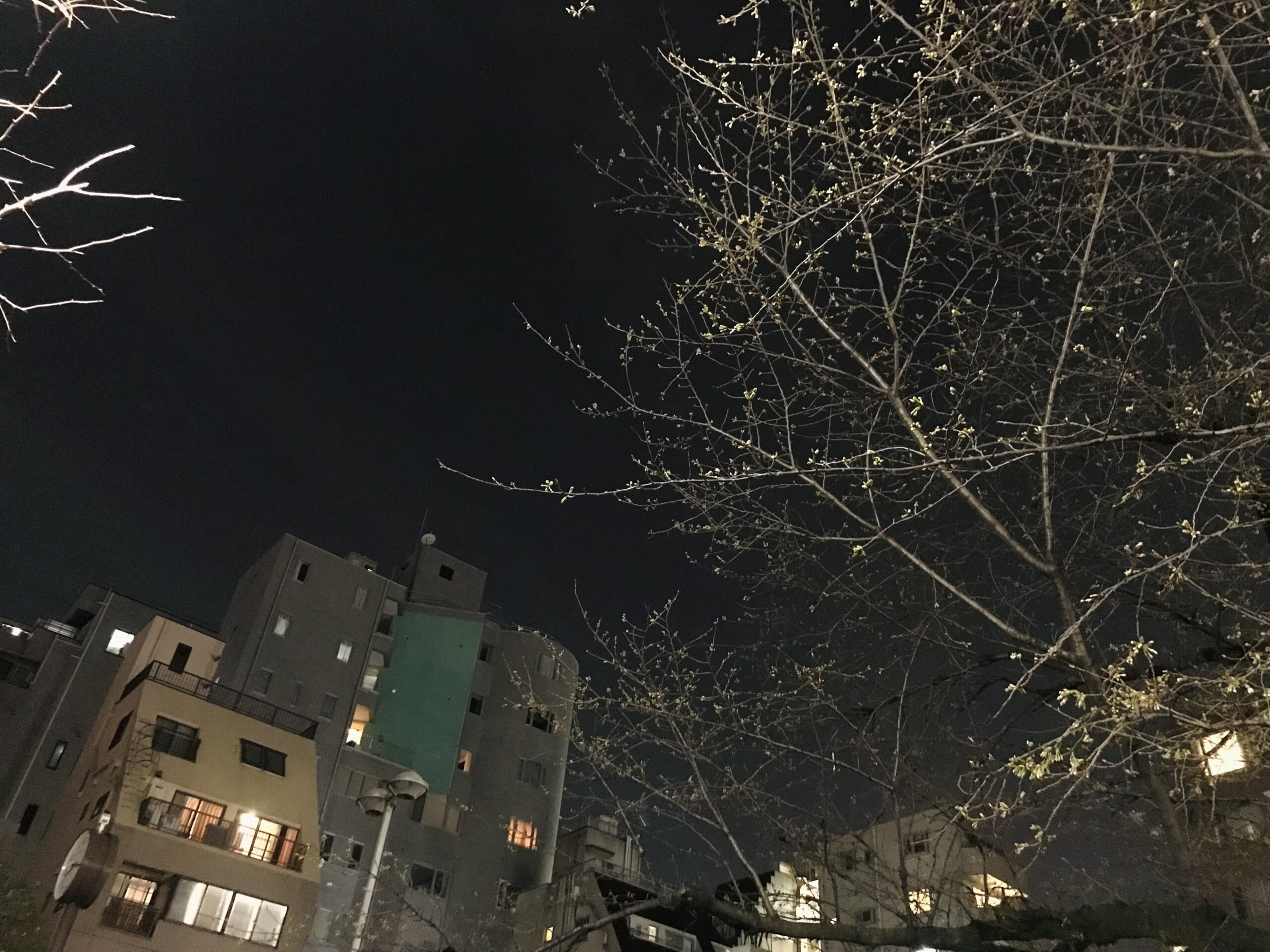 麻布十番のミッキーマウス