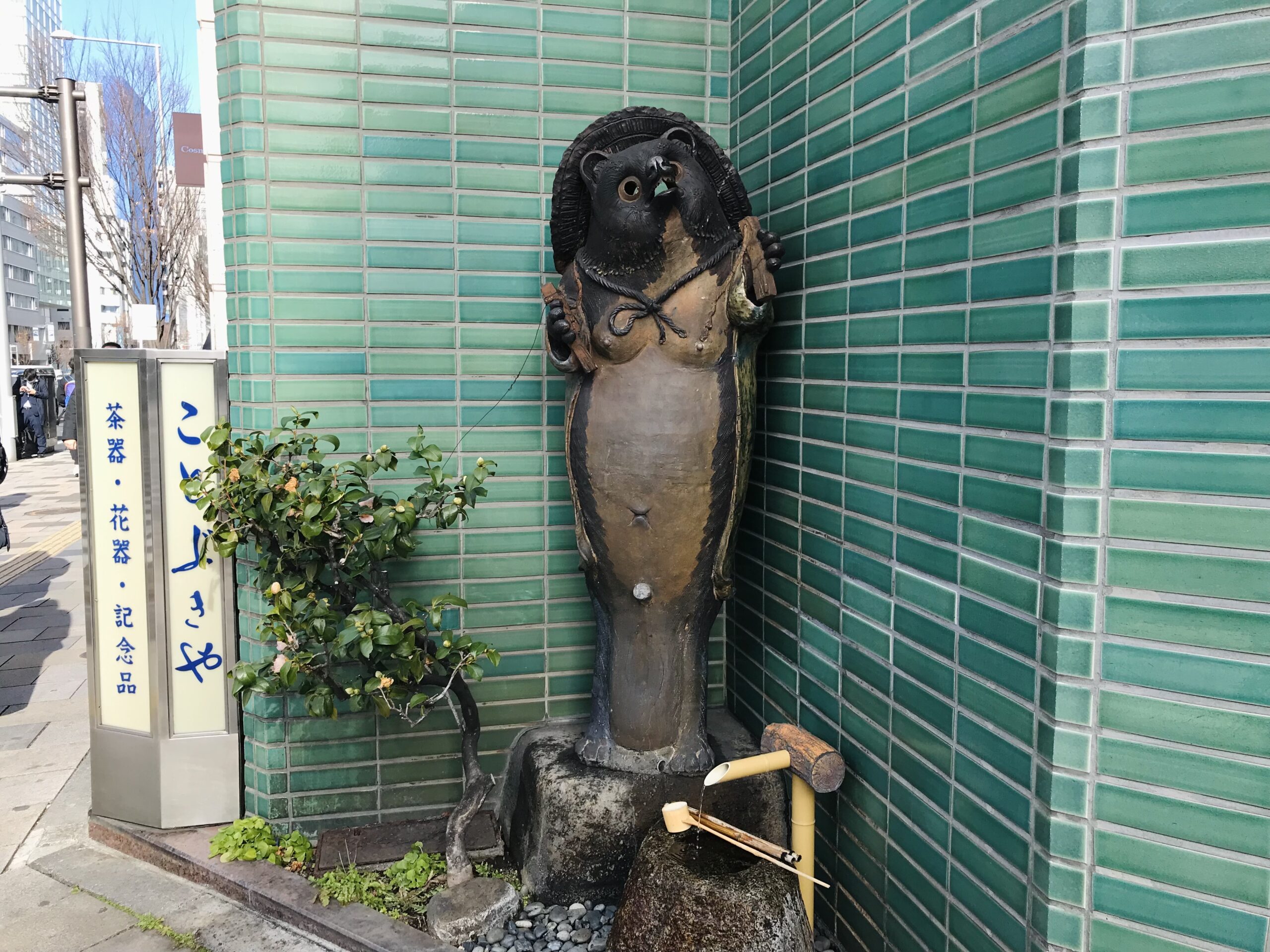 表参道の信楽だぬき